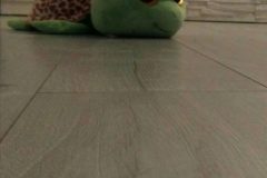 cropped-IMG-20170710-WA0000-1