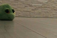 cropped-IMG-20170710-WA0000-3