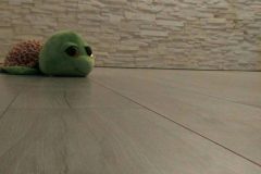 cropped-IMG-20170710-WA0000