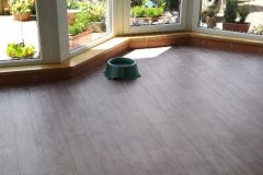 cropped-IMG_20170711_134012-1