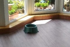 cropped-IMG_20170711_134012